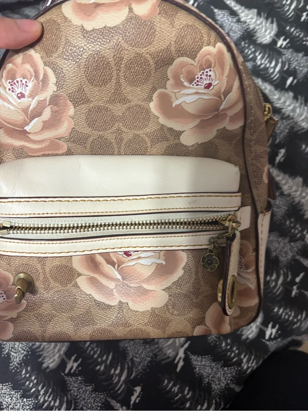 Coach Signature Floral Mini Backpack in Brown and Pink